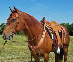 BC07 1 3/4" Non-Choke Breast Collar