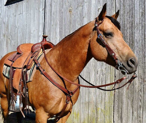 BC01 1 1/4” Straight Breast Collar