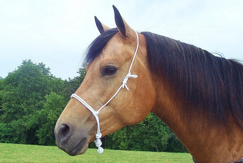 NC01 Nylon Cord Cavasson
