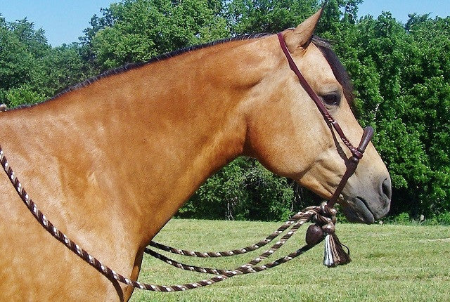 BRBM01 Bosal w/ Mecate  Western Horse Company Ltd.